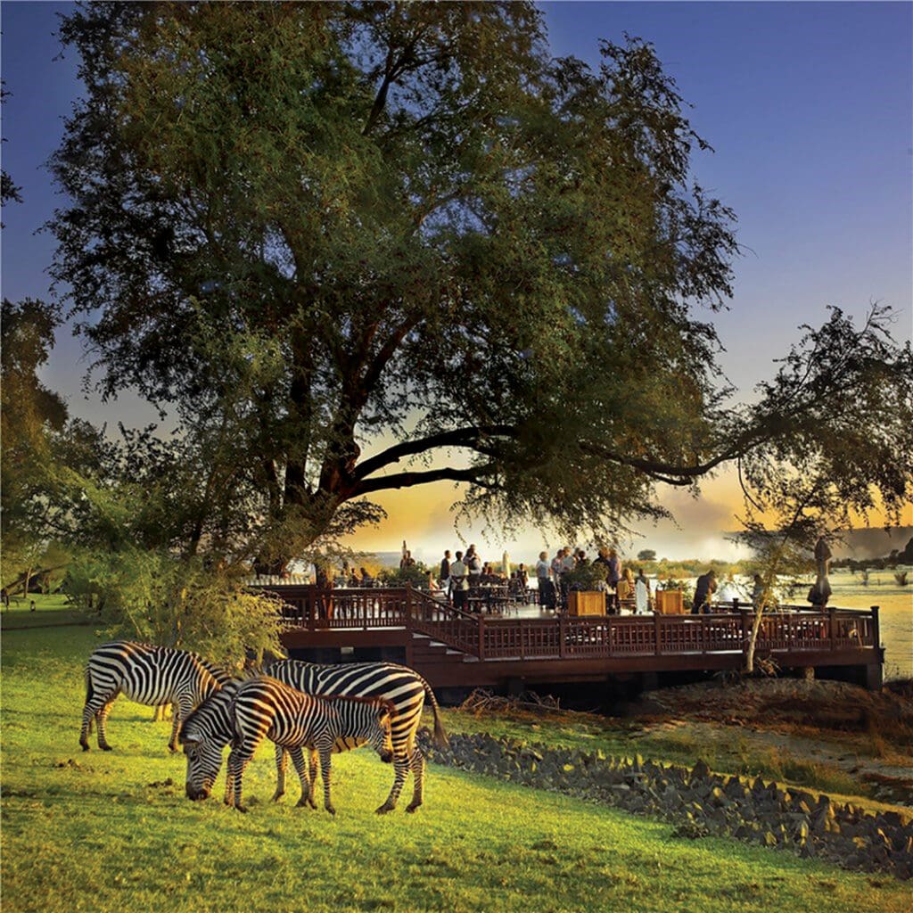 HOTEL Royal Livingstone zebras FB