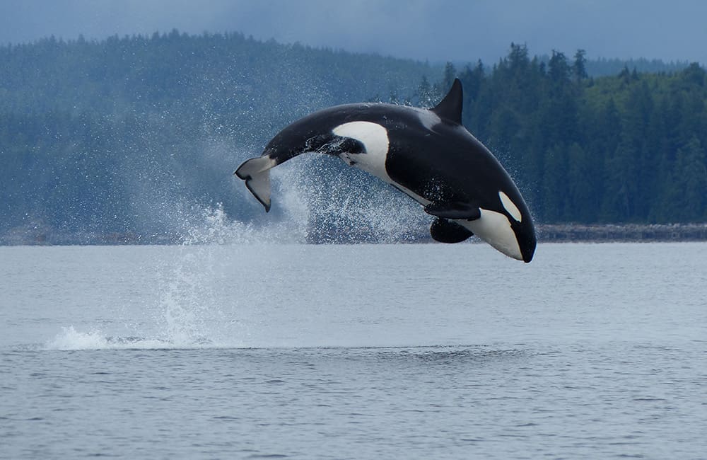 British Columbia