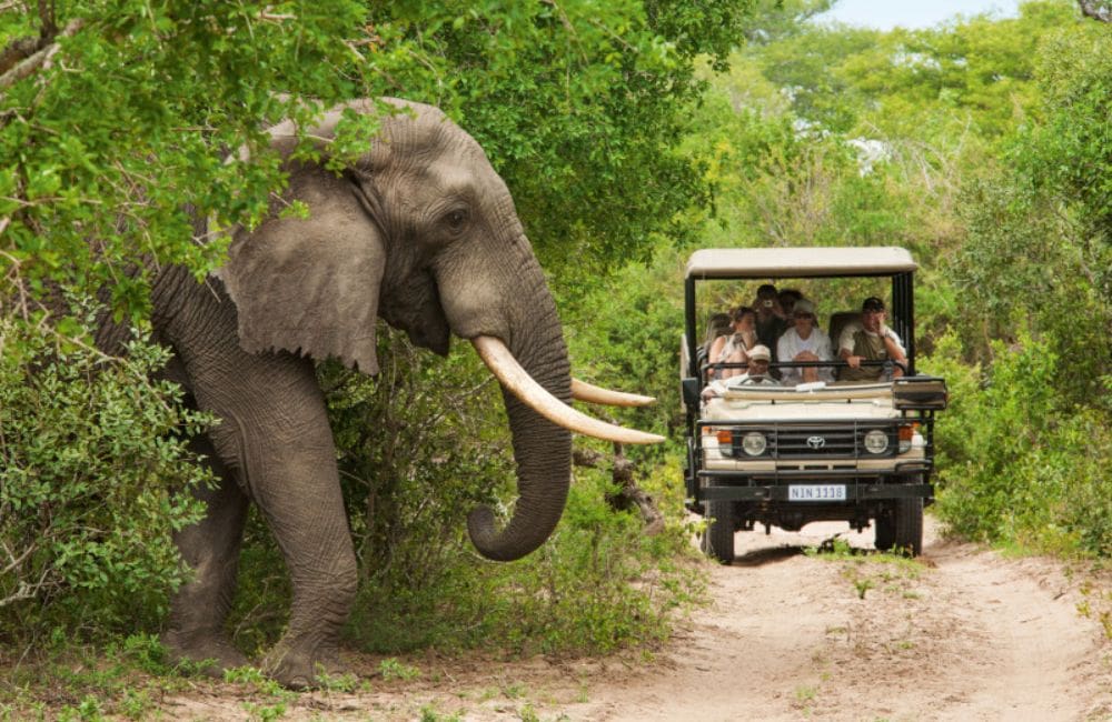 Travelling in South Africa with Collette