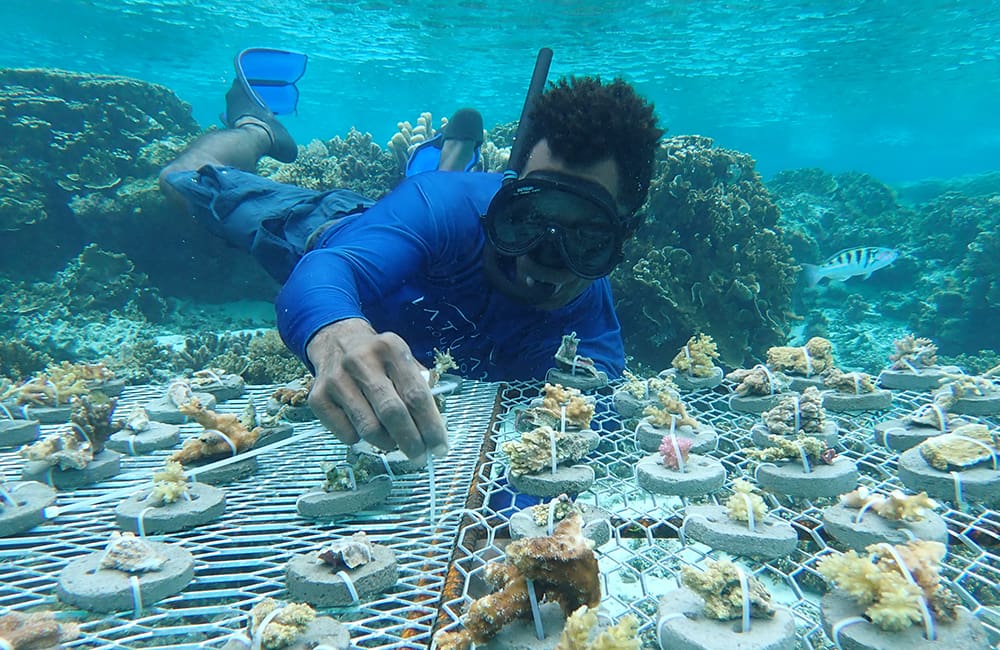 Cookie Nursery at Vatuvara Foundation Fiji Tourism Karryon