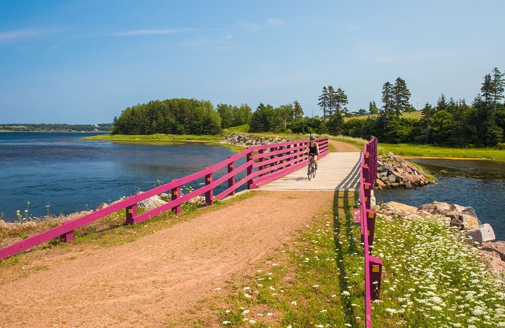 Cyclist on the Morell and St Peters portion of the Confederation Trail on Prince Edward Island. Image:  Carrie Gregory