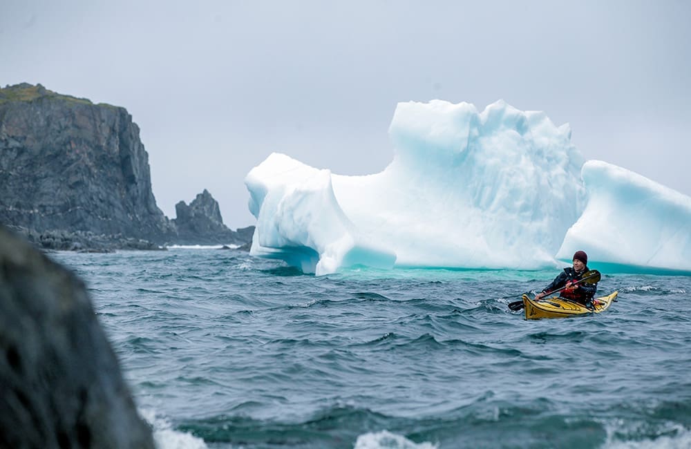 Kayak past Iceberg Alley off the Newfoundland & Labrador coast. Image: Destination Canada