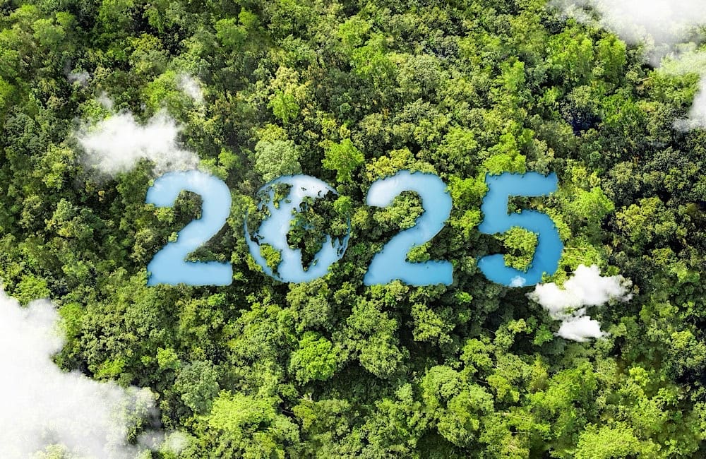 2025 is shaping up to be the year sustainability becomes standard in travel. Are your bookings keeping up?