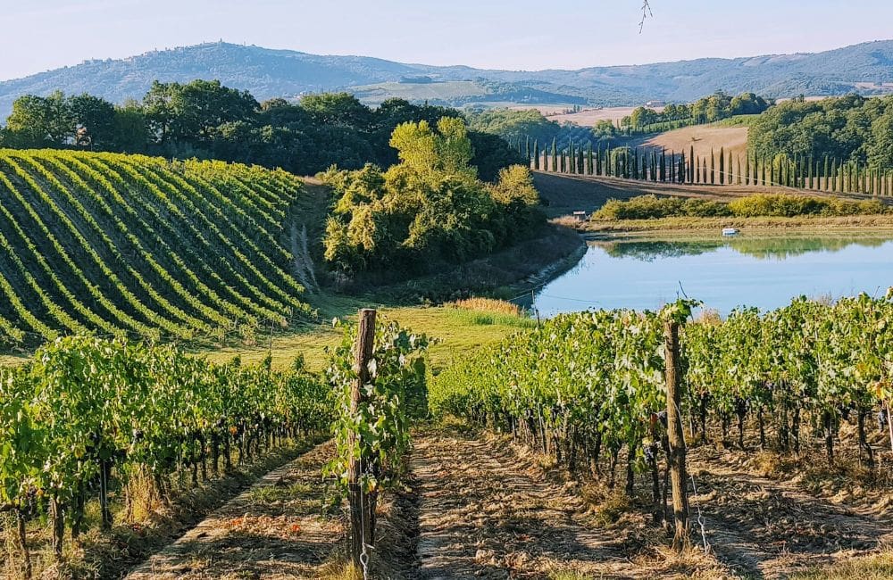 The Italian countryside of Tuscany © Amit Janco