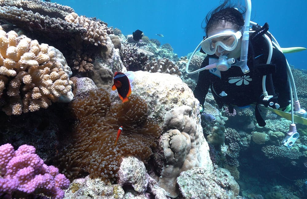 Woman diving with fish and coral in Okinawa, Japan. Image: OCVB