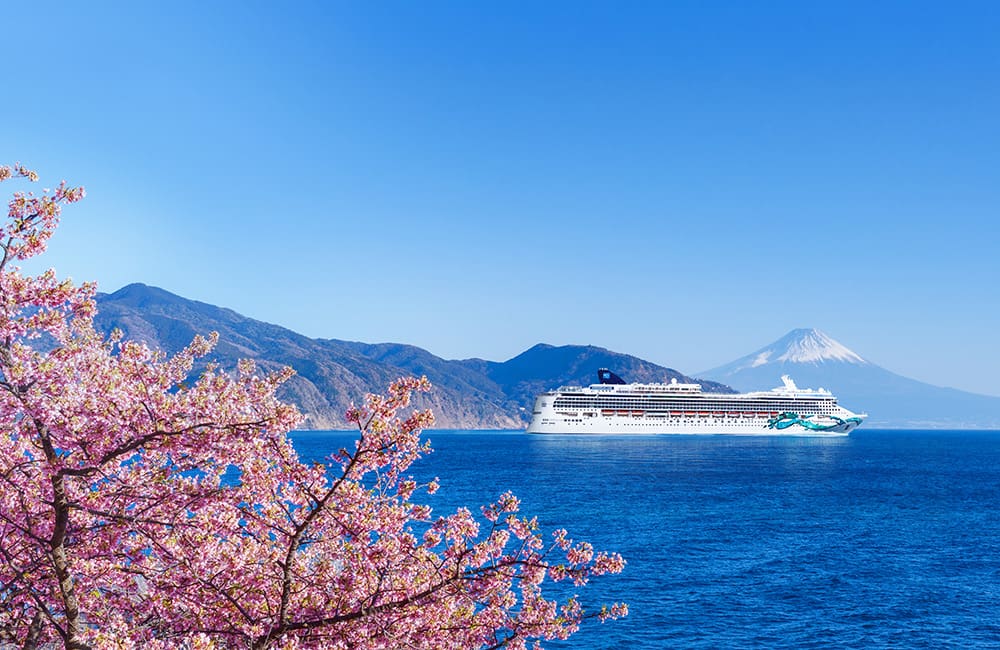 NCL Norwegian Jade cruise ship at sea with Mount Fuji in background and cherry blossoms at forefront