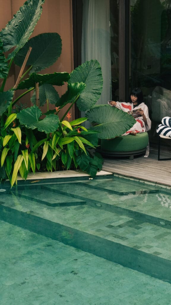 There are plenty of spaces for quiet moments at Noema
