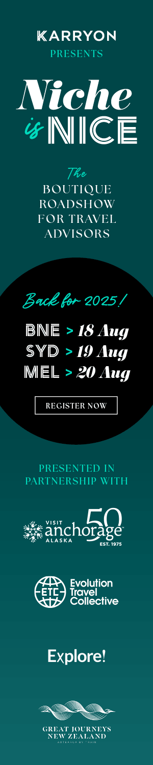 Niche is Nice vertical banner