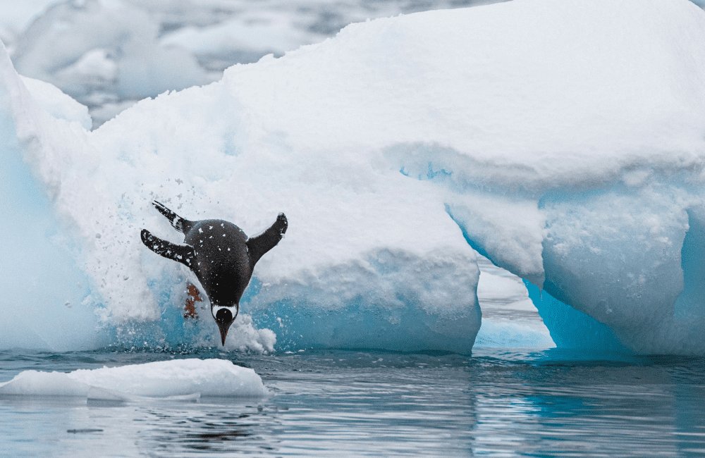 Antarctica © Birger Strahl
