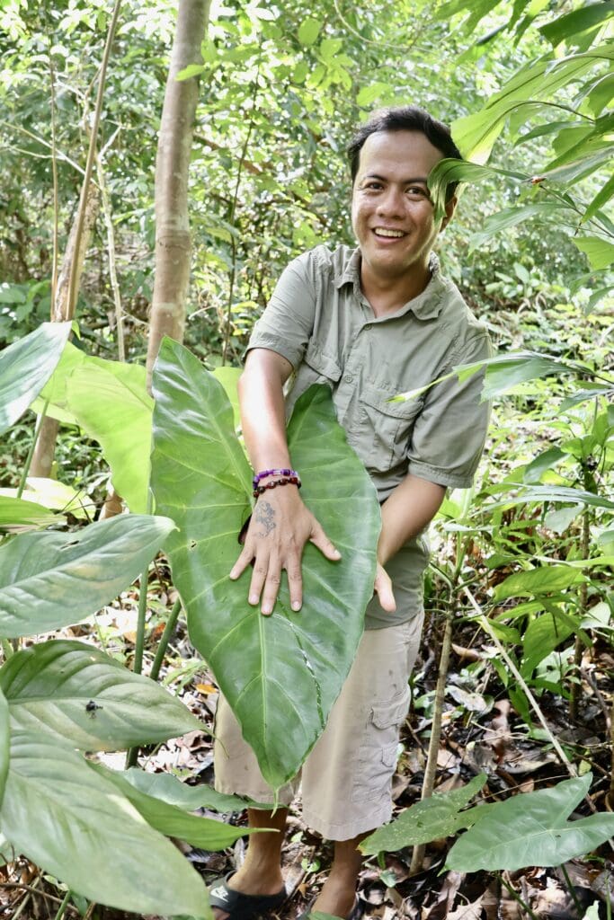 Song Saa's nature guide and botanist Vichea Sok
