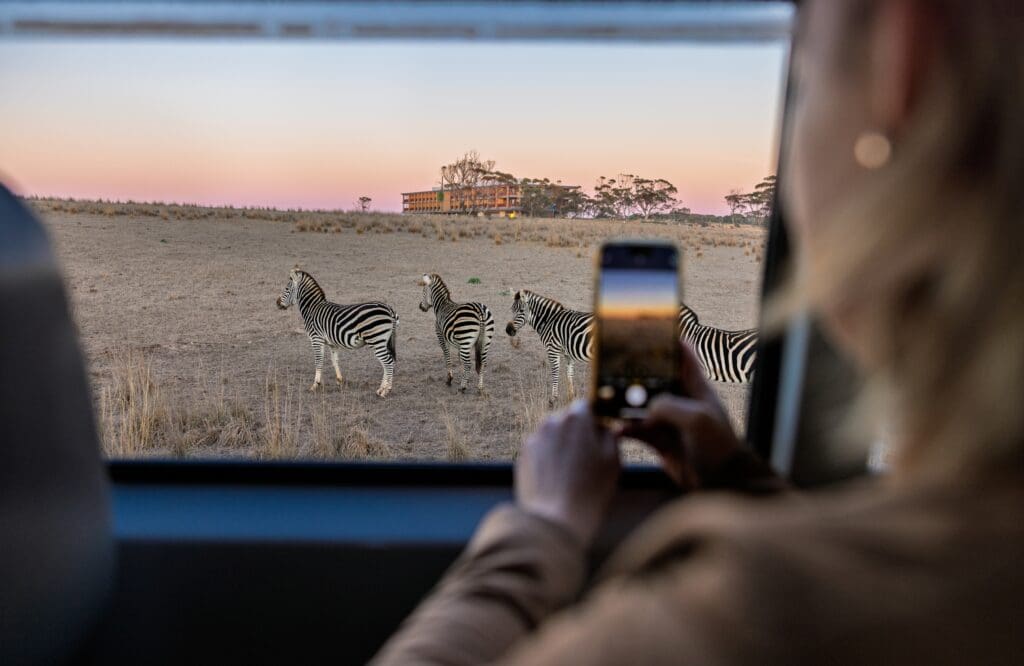 Monarto Safari Resort -  Karryon Top 10 Stories