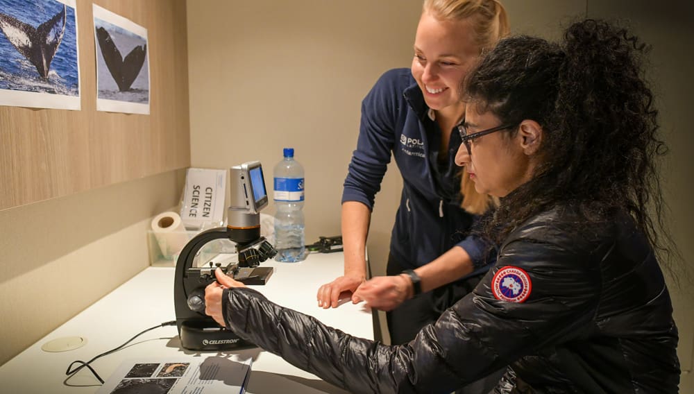 aussie bird count, chimu