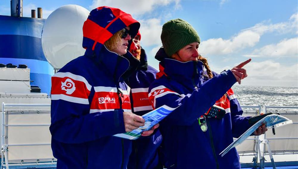 aussie bird count, chimu