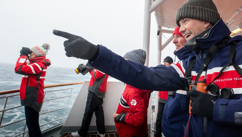 aussie bird count, chimu