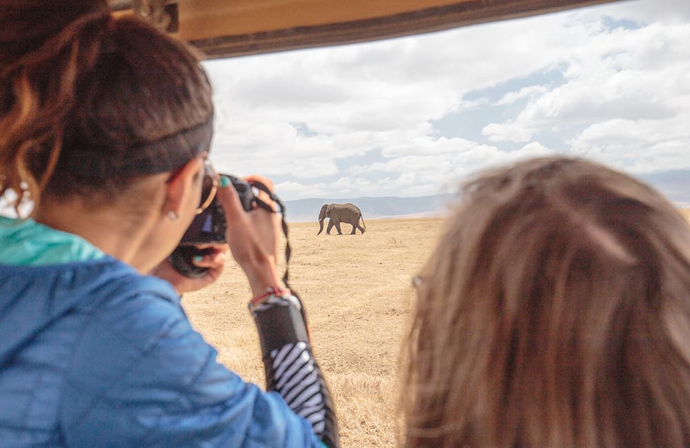 On 4WD safari in Ngorongoro Conservation Area in Tanzania. Image: Intrepid Travel