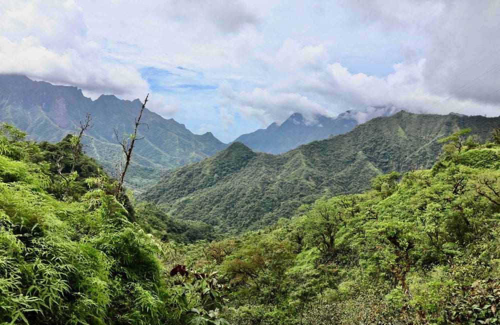 The Tahitian valley