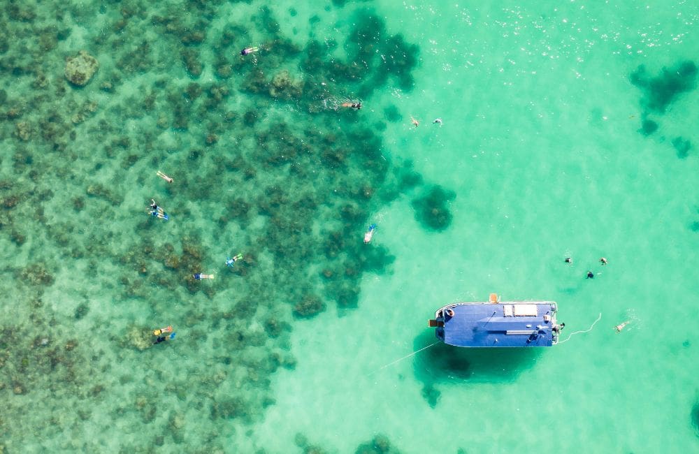 Coral Expeditions Visits Shark Bay, Western Australia