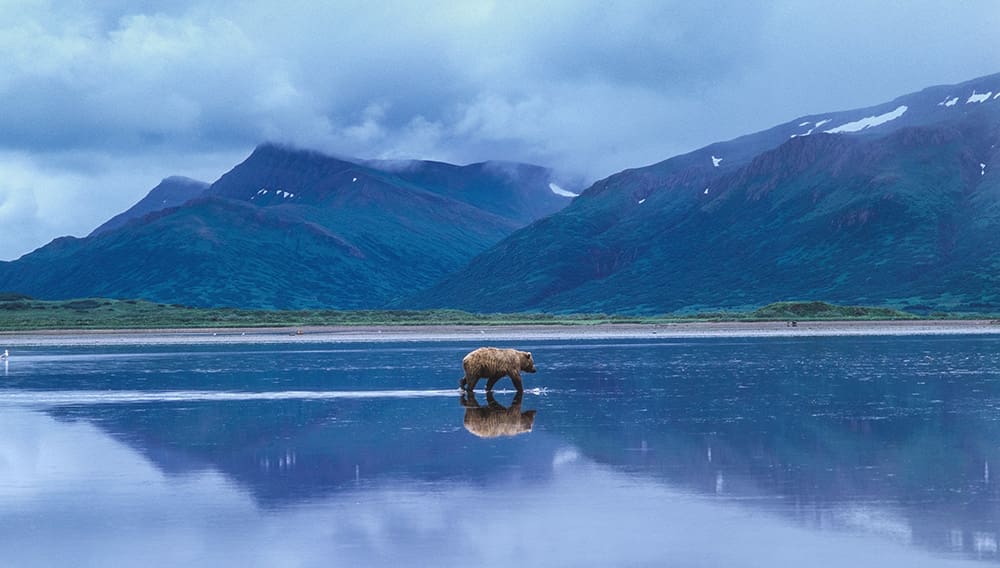 HX Rocky Mountaineer