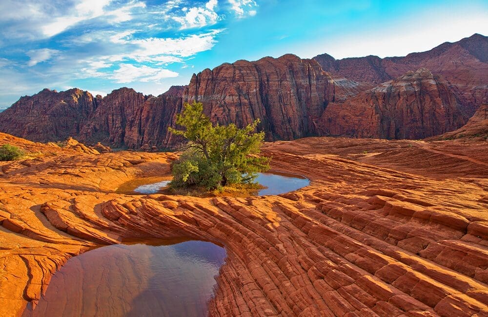 The towering sandstone cliffs, rolling petrified sandstone dunes, and ancient lava rock beds at Snow Canyon State Park. ©Joe Newman