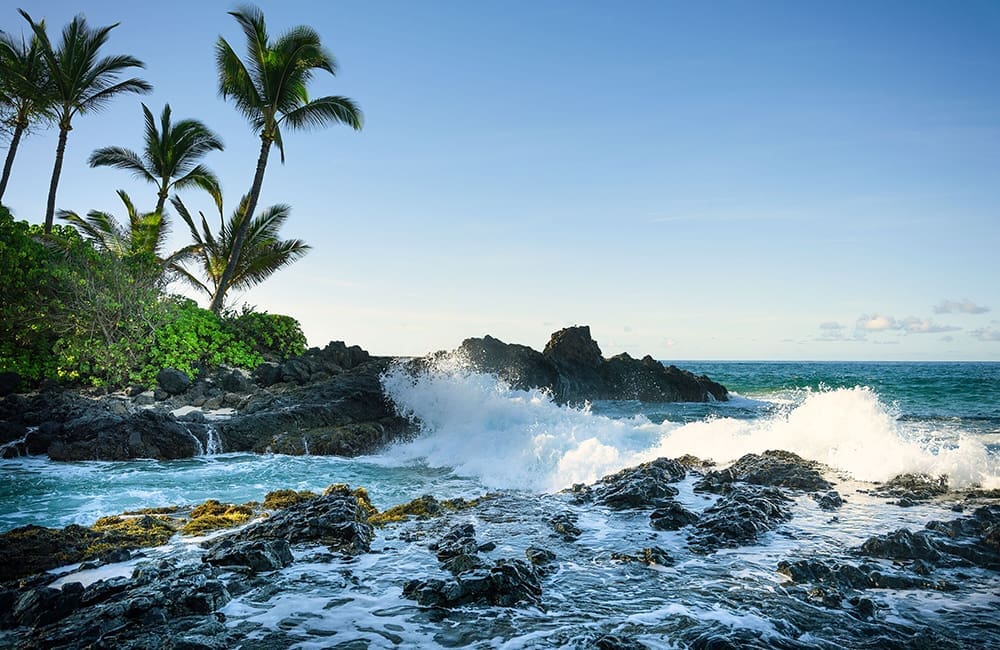 1000x650 Cove L1010213 Edit large