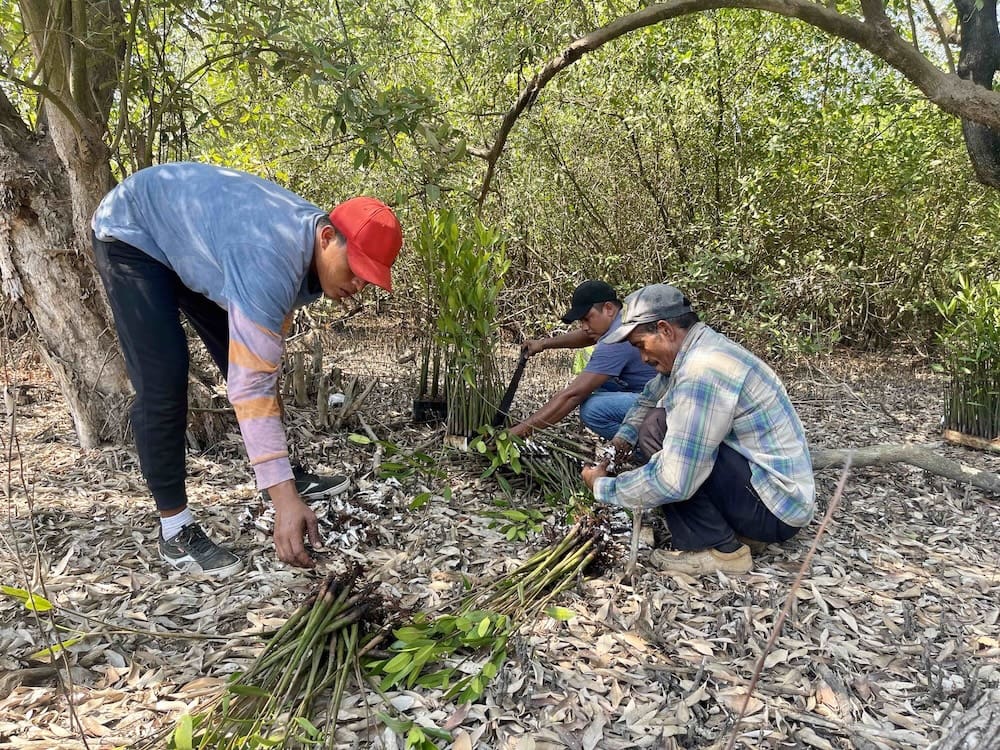 Just You tree planting.