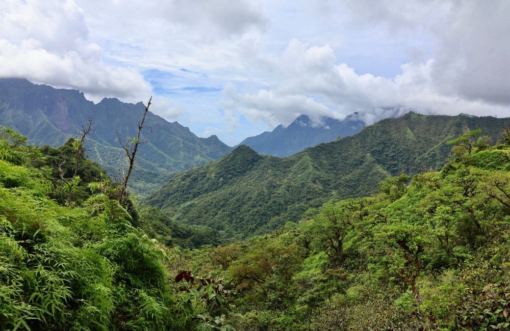 Te Mana Tahiti Tours valley tour © Kirstie Bedford