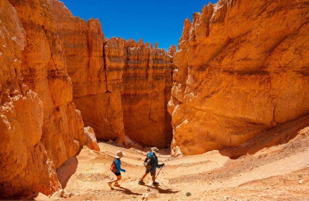 Visit USA Act Restored Brand USA funding would strengthen U.S. destination visibility in Australia and support renewed trade co-marketing across the long-haul market.