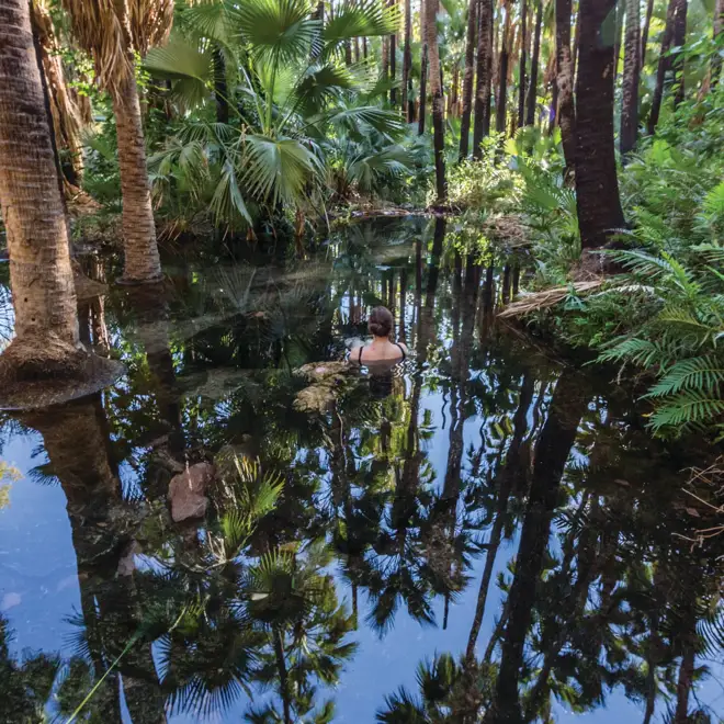 Zebedee Springs with APT